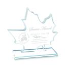 Arcadia Unique Crystal Award