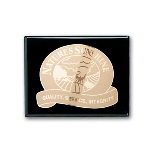 Awards and Trophies - Plaque Awards - Etch/Frosted Plaq - Ebony