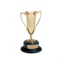 Gold Loving Cup Metal Award
