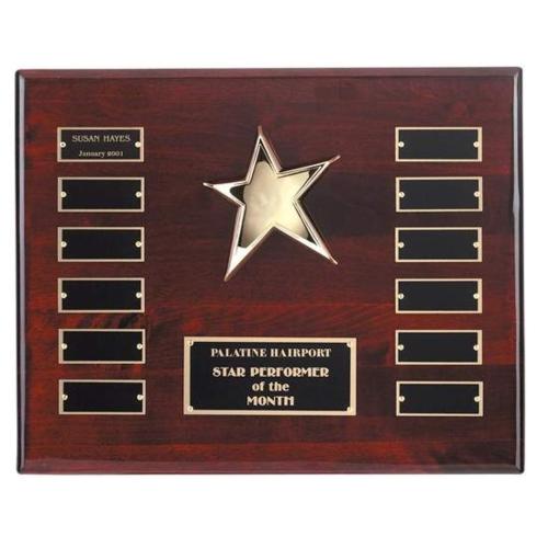 Awards and Trophies - Plaque Awards - Rising Star Plaque