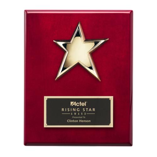 Awards and Trophies - Plaque Awards - Star Plaque