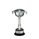 Silver-Plated Pedestal Bowl Cup