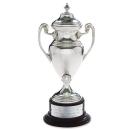 Silver Cup Metal Award