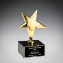 Gold Rising Star on Marble Metal Award