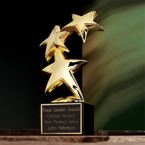 Awards and Trophies - Constellation Star on Marble Metal Award