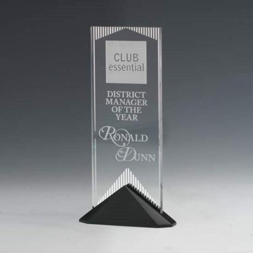 Awards and Trophies - Reflections Rectangle Acrylic Award