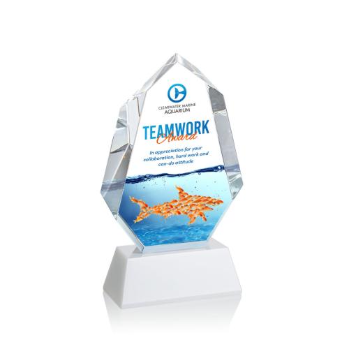 Awards and Trophies - Norwood Full Color White on Newhaven Polygon Crystal Award