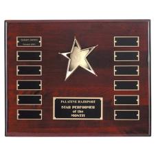 Employee Gifts - Rising Star Plaque