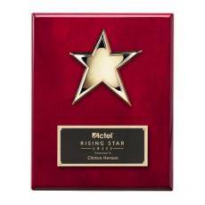 Star Plaque - Ornamental Plaques