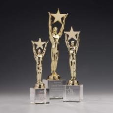 Employee Gifts - Star Achievement Star on Optical Metal Award