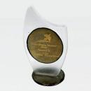 Fusion Frost Peaks Glass Award