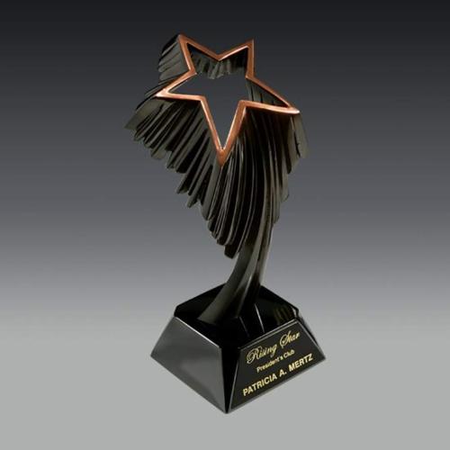 Awards and Trophies - Unique Awards - Aurora Star Metal Award