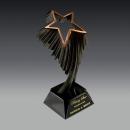Aurora Star Metal Award