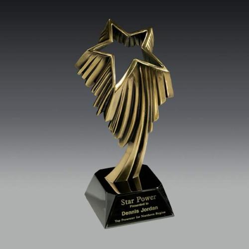 Awards and Trophies - Unique Awards - Aurora Star Metal Award