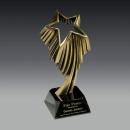 Aurora Star Metal Award