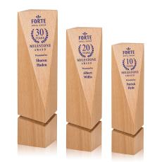 Collinson Towers Award - Awards and Trophies