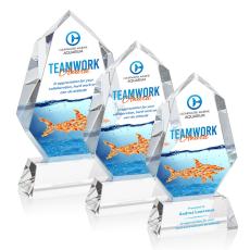 Norwood Full Color Clear on Newhaven Base Polygon Crystal Award - Awards and Trophies