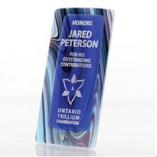 Employee Gifts - Jasper Fusion Rectangle Glass Award