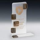 Abacus Rectangle Glass Award