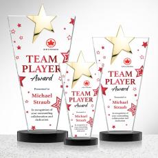 Mantella Gold Full Color Black Star Crystal Award - Star Awards