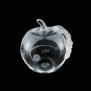 Apple Glass Award