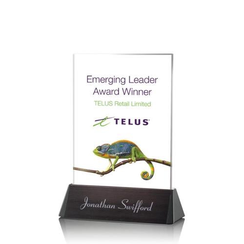 Awards and Trophies - Full Color Imprint - Sierra Full Color Rectangle Crystal Award