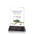 Sierra Full Color Rectangle Crystal Award