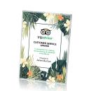 Chrome, Clear;Silver / Chrome