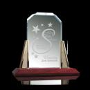 Renata Gold Peaks Crystal Award