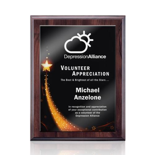 Awards and Trophies - Plaque Awards - Farnsworth/Benton - Cherry Finish