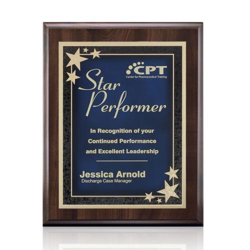 Awards and Trophies - Plaque Awards - Farnsworth/Starburst - Cherry/Blue
