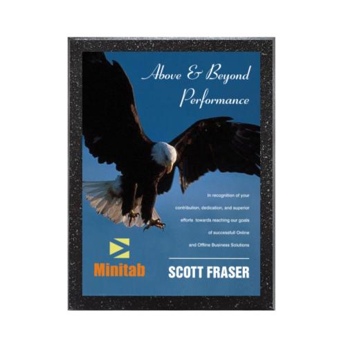 Awards and Trophies - Plaque Awards - Full Color Plaques - Baltimore/AstroSub Plaque