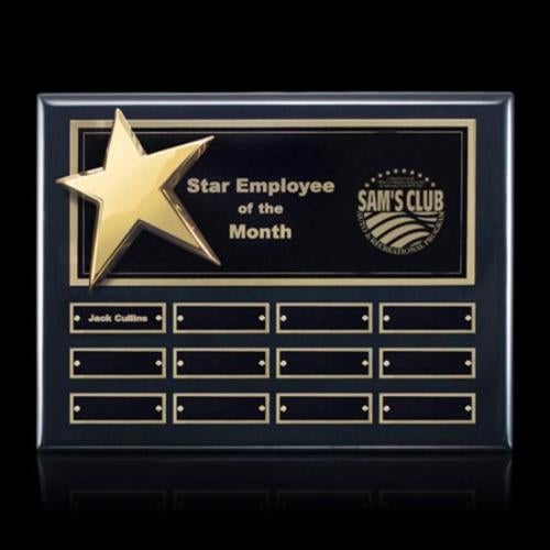 Awards and Trophies - Plaque Awards - Rising Star - Ebony Perpetual