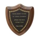 Contemporary Shield