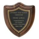 Contemporary Shield