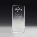 McKinley Tower Towers Crystal Award