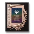 Black, Various;Black