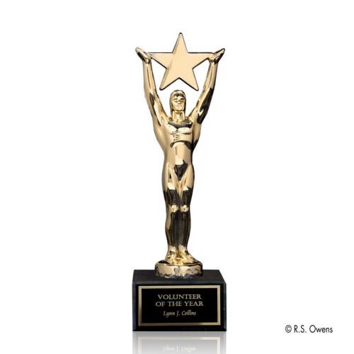 Awards and Trophies - Unique Awards - Star Achievement Star on Marble Metal Award