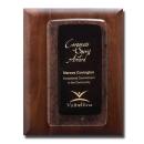 Fusion Plaque - Ebony