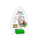 Aylin Full Color Green Peaks Crystal Award