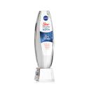 Hoover Full Color Clear on Robson Base Towers Crystal Award