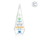 Springfield Full Color Diamond Crystal Award