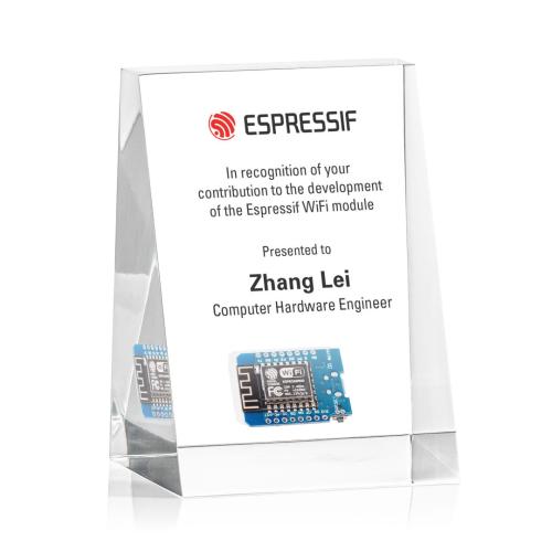 Awards and Trophies - Acrylic Awards - Embedment Rectangle Acrylic Award