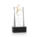 Fanshaw Gold Star Black on Base Towers Crystal Award