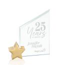 Cooper Jade/Gold Star Peaks Glass Award