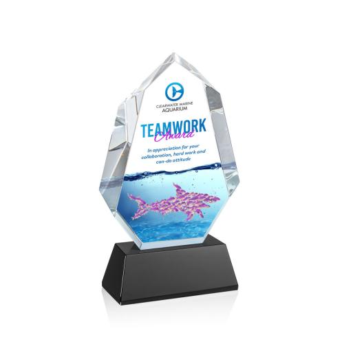 Awards and Trophies - Crystal Awards - Norwood Full Color Black on Newhaven Base Polygon Crystal Award