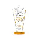 Mantella Chrome Full Color Amber Star Crystal Award