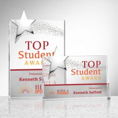 Denham Star Full Color Silver Rectangle Crystal Award - Star Awards