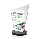 Wiltshire Full Color Black Peaks Crystal Award