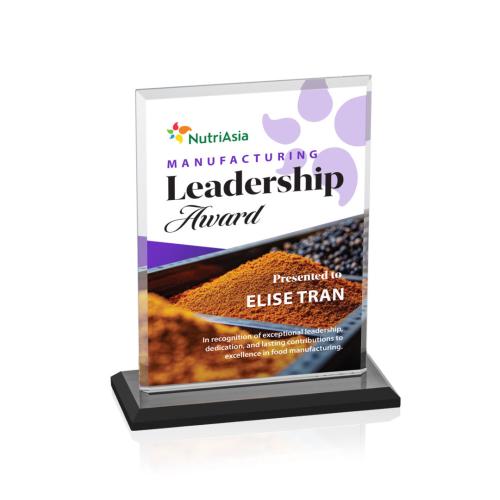 Awards and Trophies - Crystal Awards - Vitalia Full Color Black Rectangle Crystal Award